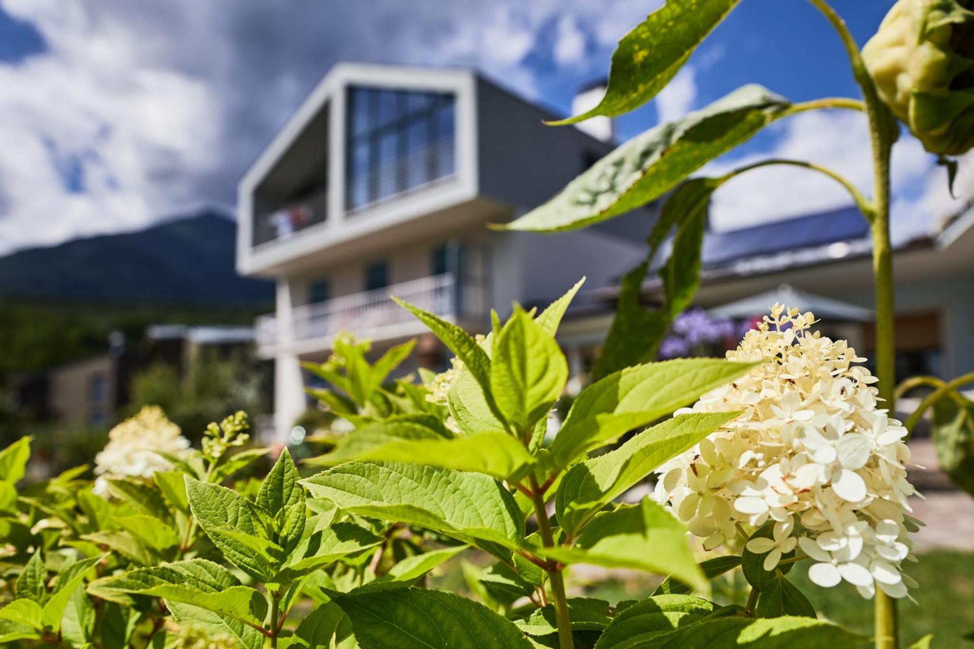 Apartmenthaus Haringer Novacella Bagian luar foto
